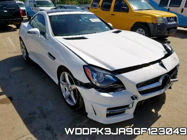 WDDPK3JA9GF123049