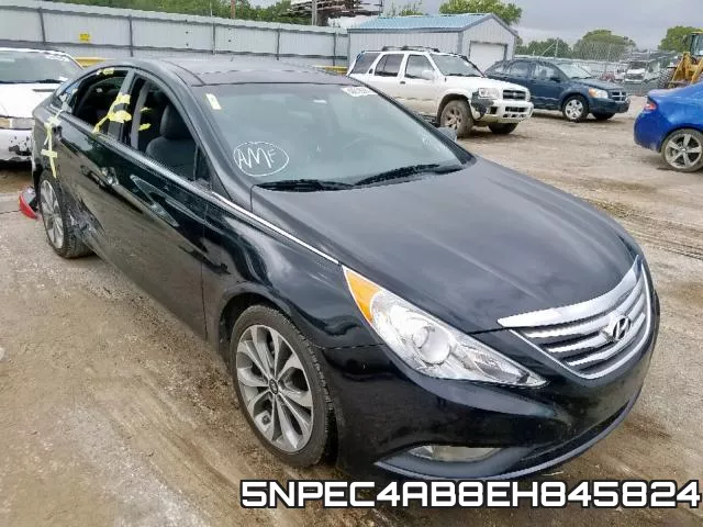5NPEC4AB8EH845824
