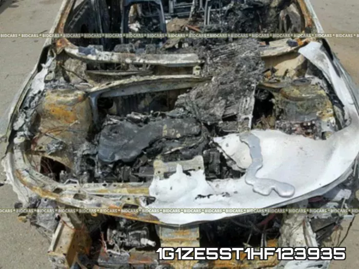 1G1ZE5ST1HF123935_7.webp