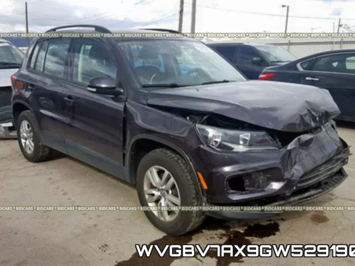 WVGBV7AX9GW529190
