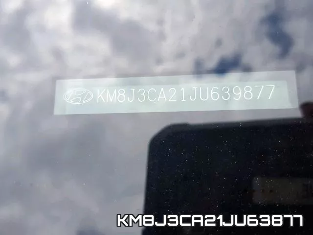 KM8J3CA21JU63877_10.webp