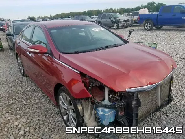 5NPEC4AB9EH816445