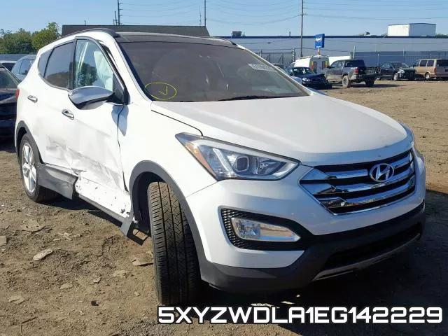 5XYZWDLA1EG142229