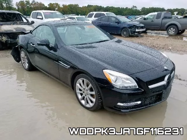WDDPK3JA7GF116231
