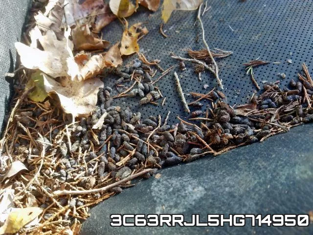 3C63RRJL5HG714950_9.webp