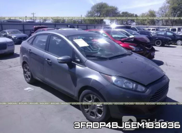 3FADP4BJ6EM183036