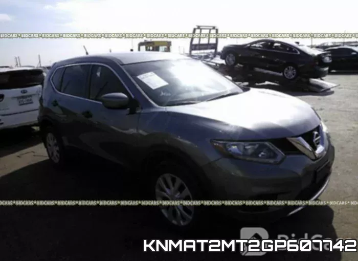 KNMAT2MT2GP607742