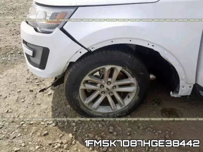 1FM5K7D87HGE38442_9.webp
