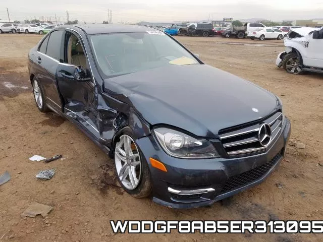 WDDGF8AB5ER313095