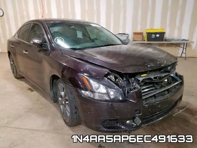 1N4AA5AP6EC491633