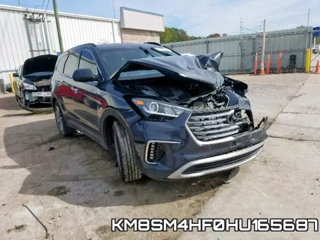 KM8SM4HF0HU165687