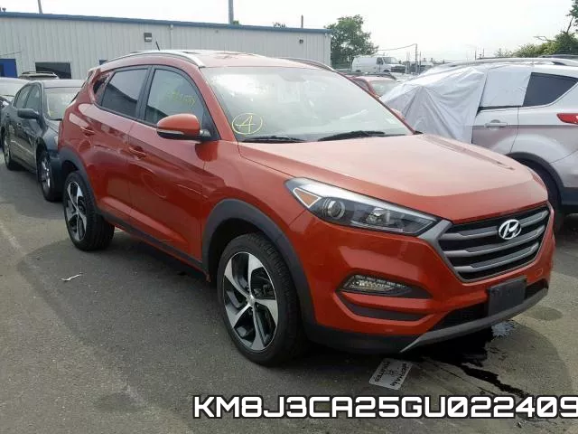 KM8J3CA25GU022409