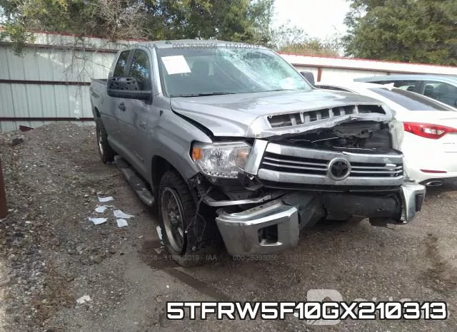 5TFRW5F10GX210313