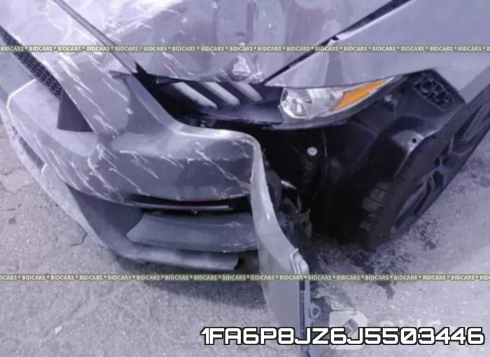 1FA6P8JZ6J5503446_6.webp