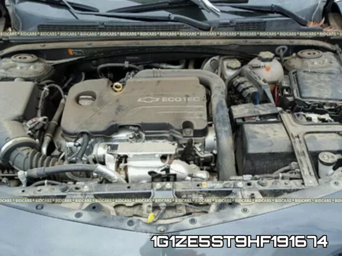 1G1ZE5ST9HF191674_7.webp