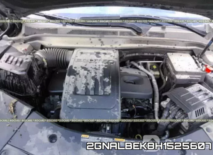 2GNALBEK8H1525607_10.webp