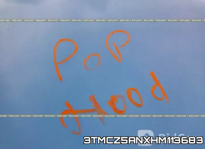 3TMCZ5ANXHM113683_10.webp