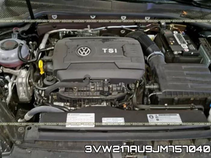 3VW217AU9JM757040
