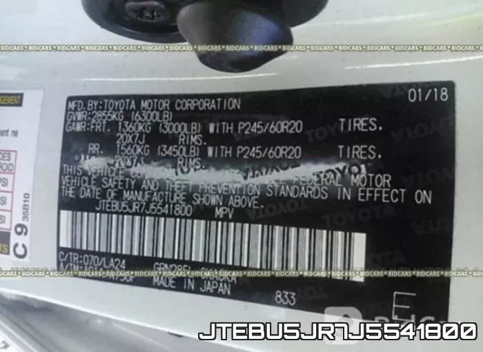 JTEBU5JR7J5541800_9.webp
