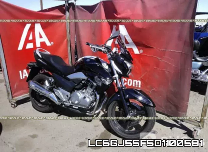 LC6GJ55F5D1100581