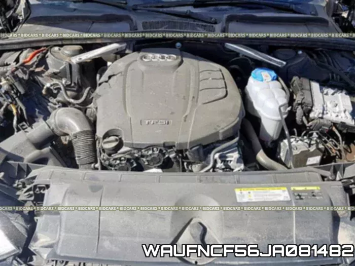 WAUFNCF56JA081482_7.webp