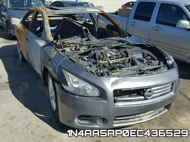 1N4AA5AP0EC436529