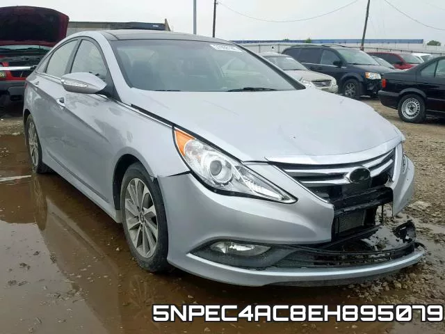 5NPEC4AC8EH895079