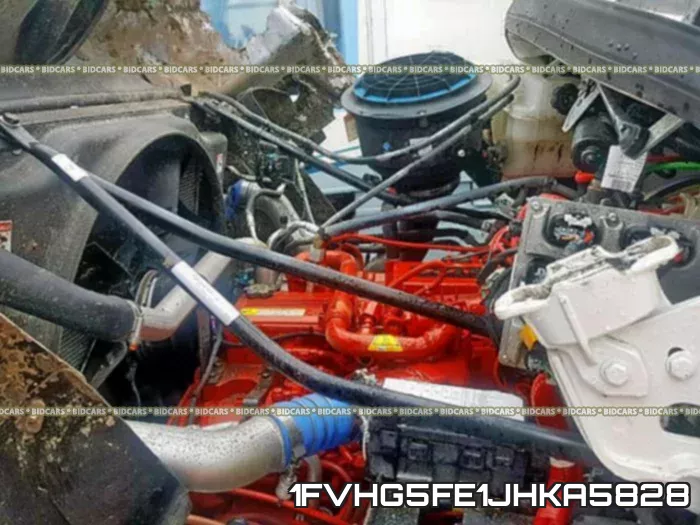 1FVHG5FE1JHKA5828_7.webp