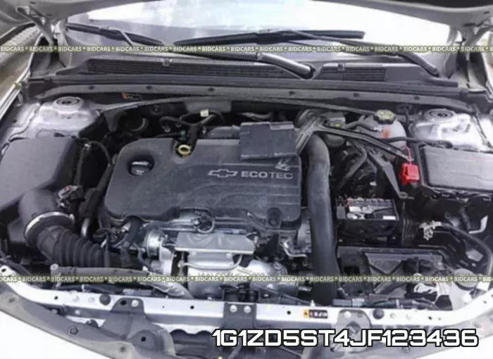 1G1ZD5ST4JF123436_10.webp