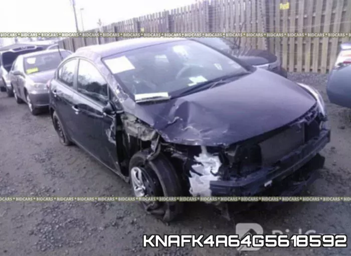KNAFK4A64G5618592