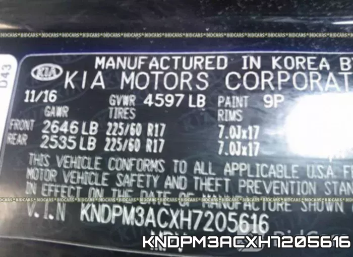 KNDPM3ACXH7205616_9.webp