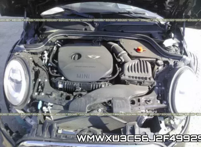 WMWXU3C56J2F49929_10.webp