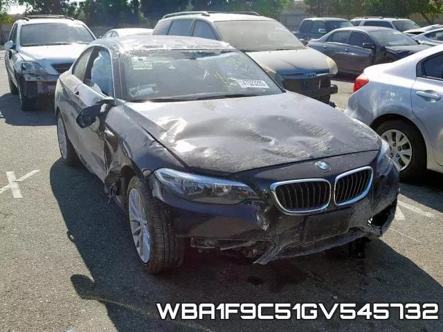 WBA1F9C51GV545732