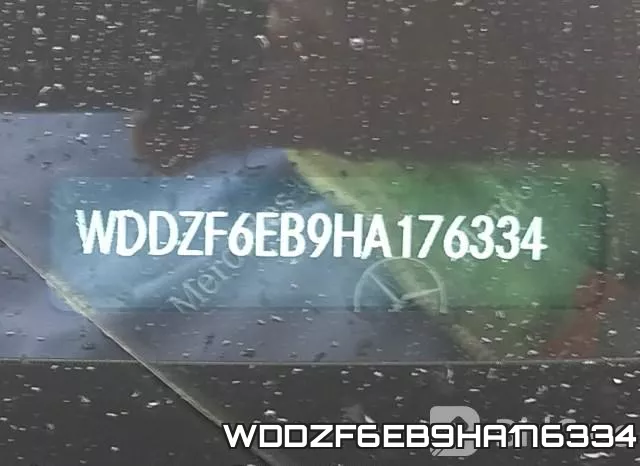 WDDZF6EB9HA176334_9.webp