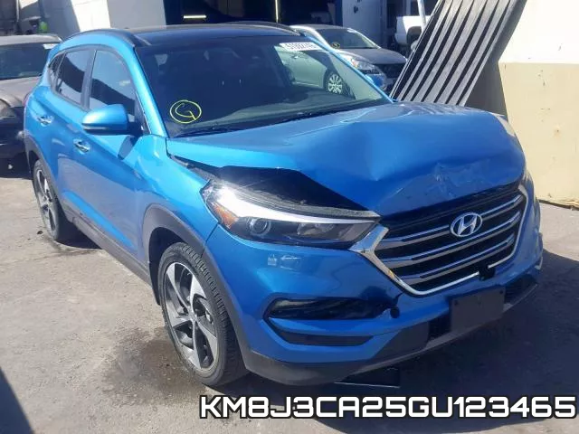 KM8J3CA25GU123465