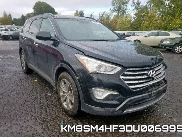 KM8SM4HF3DU006995