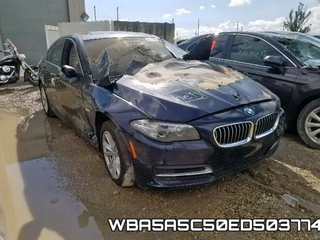WBA5A5C50ED503774