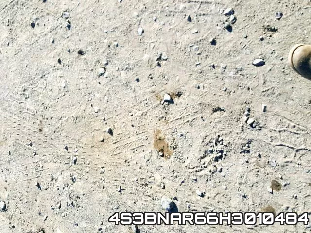 4S3BNAR66H3010484