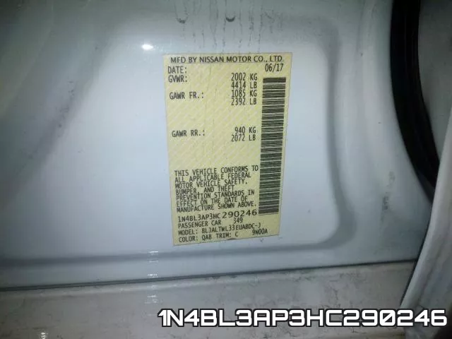 1N4BL3AP3HC290246_10.webp