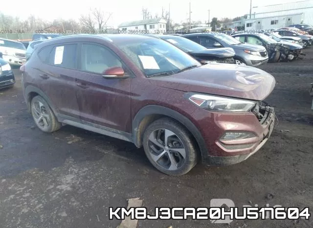 KM8J3CA20HU517604_1.webp