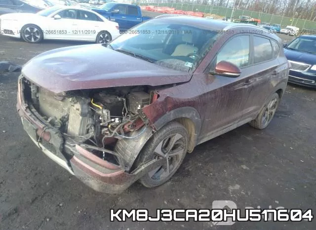 KM8J3CA20HU517604_2.webp