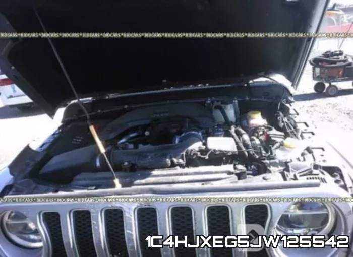 1C4HJXEG5JW125542_10.webp
