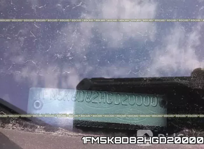 1FM5K8D82HGD20000_9.webp