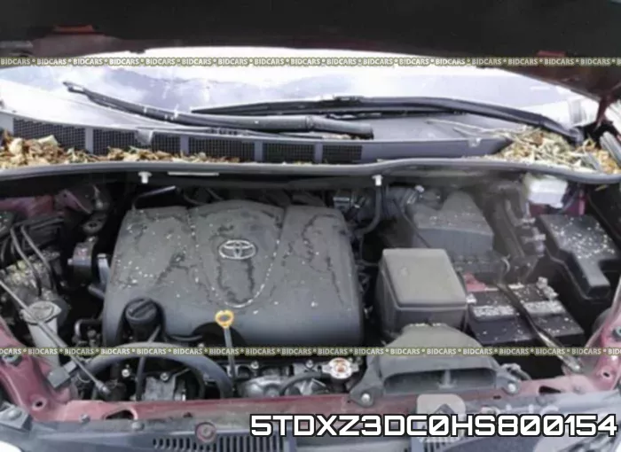 5TDXZ3DC0HS800154_10.webp