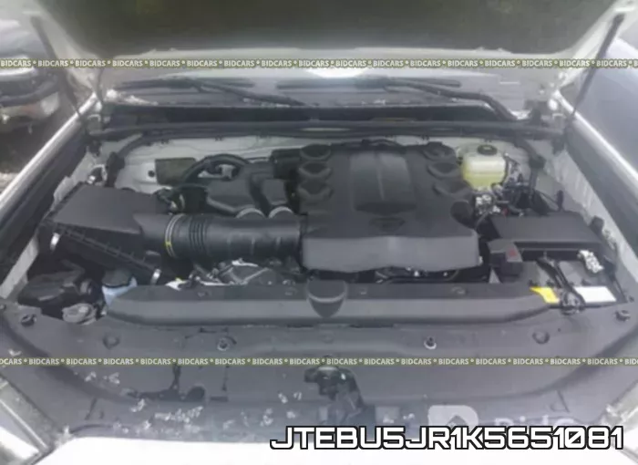 JTEBU5JR1K5651081_10.webp