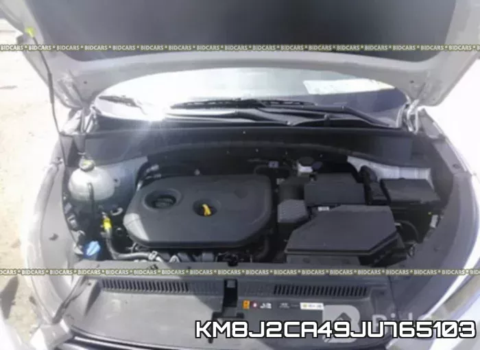 KM8J2CA49JU765103_10.webp