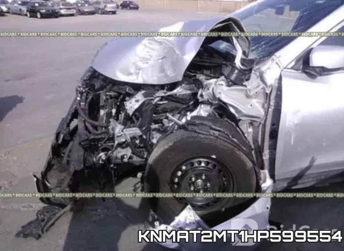 KNMAT2MT1HP599554_6.webp