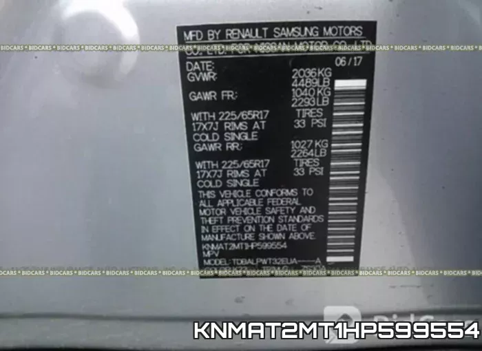 KNMAT2MT1HP599554_9.webp