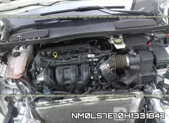 NM0LS7E70H1331847_10.webp