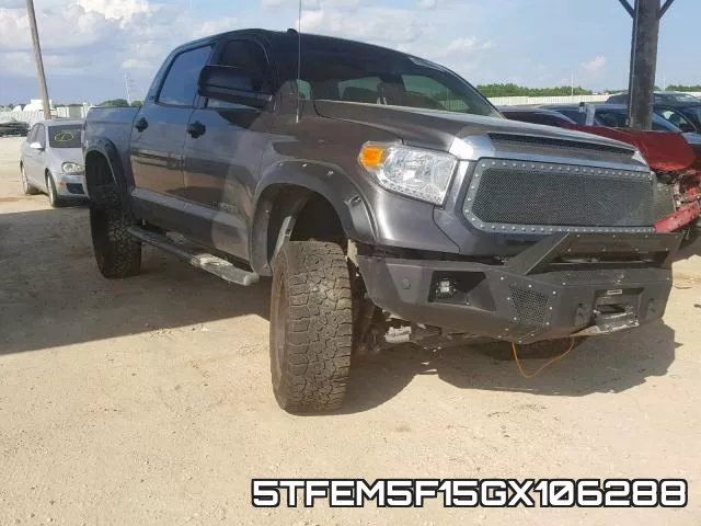 5TFEM5F15GX106288